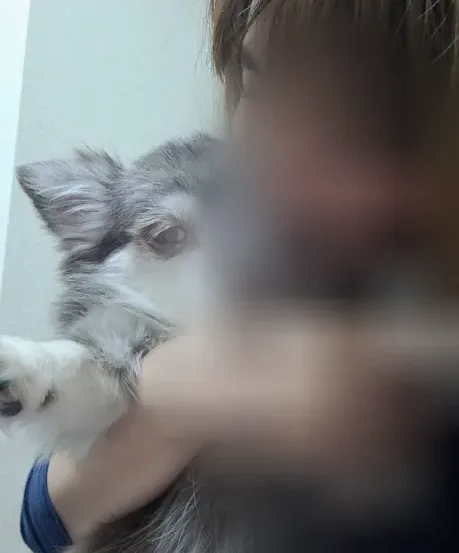 Clara, 30